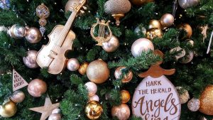 Order kids violin online for Christmas