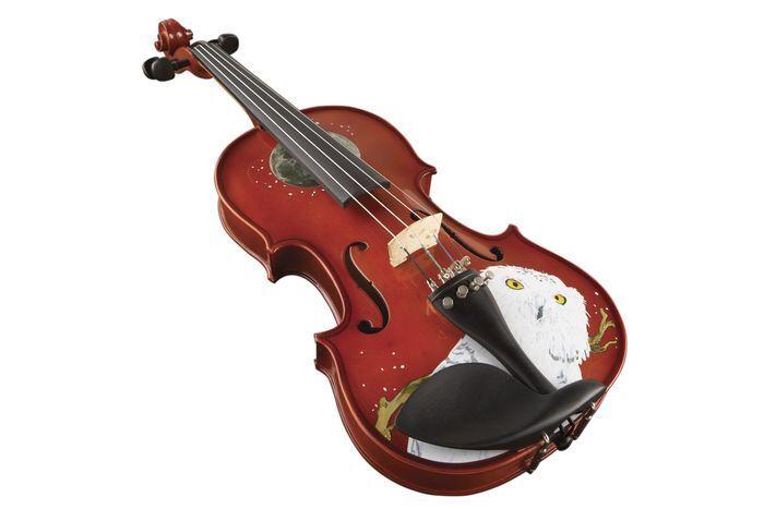 RV-MYSTIC-OWL-VIOLIN-OUTFIT-IMAGE-2