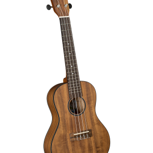 Diamond Head DU-350C Flamed Acacia Concert Uke Ukulele Outfit